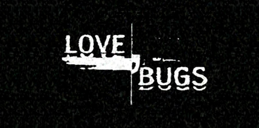 2005 – Love Bugs